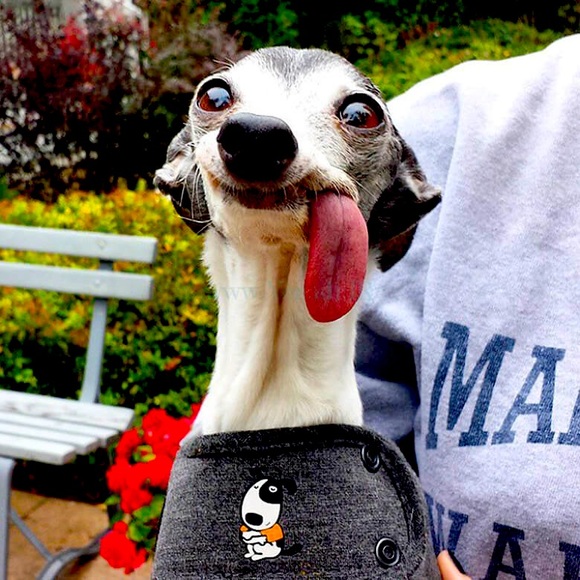 Meet your Posher, Christian - Picture 1 of 1